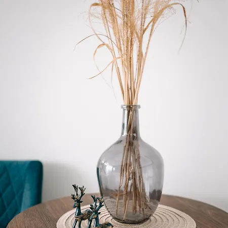 Geri Mini Apartamento Zalaegerszeg